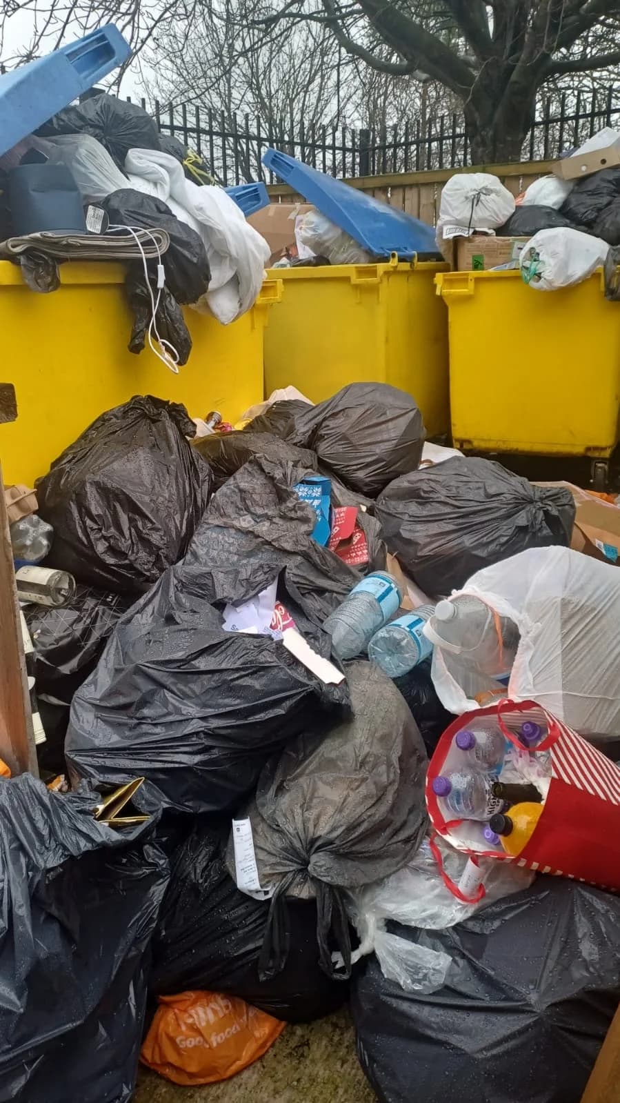 Before Commercial Waste Removal - property clearance in progress