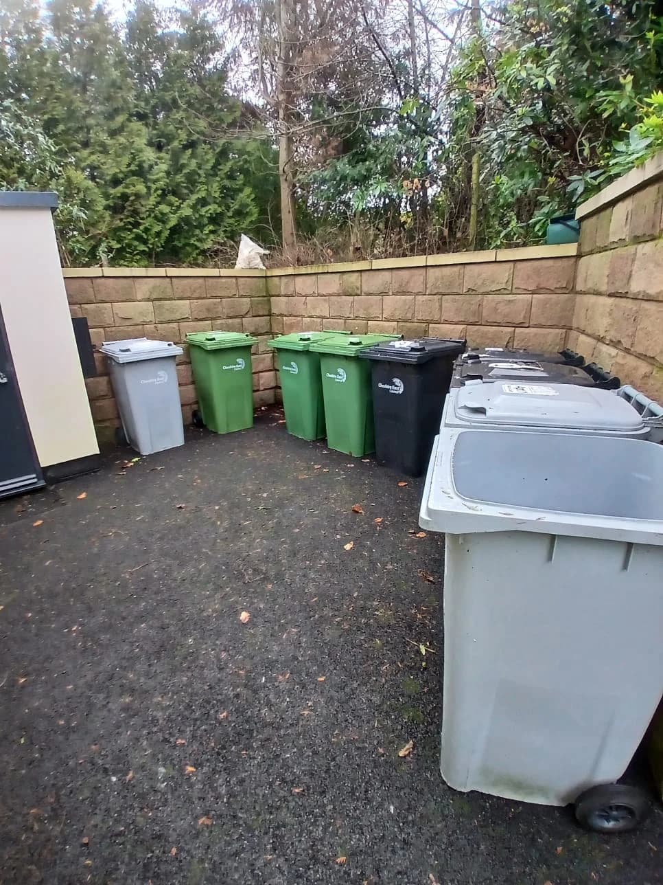 After Emergency Bin Collection - completed clearance showing clean space