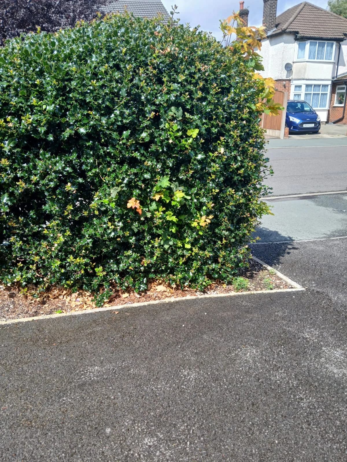 After Fridge/Freezer Removal - completed clearance showing clean space