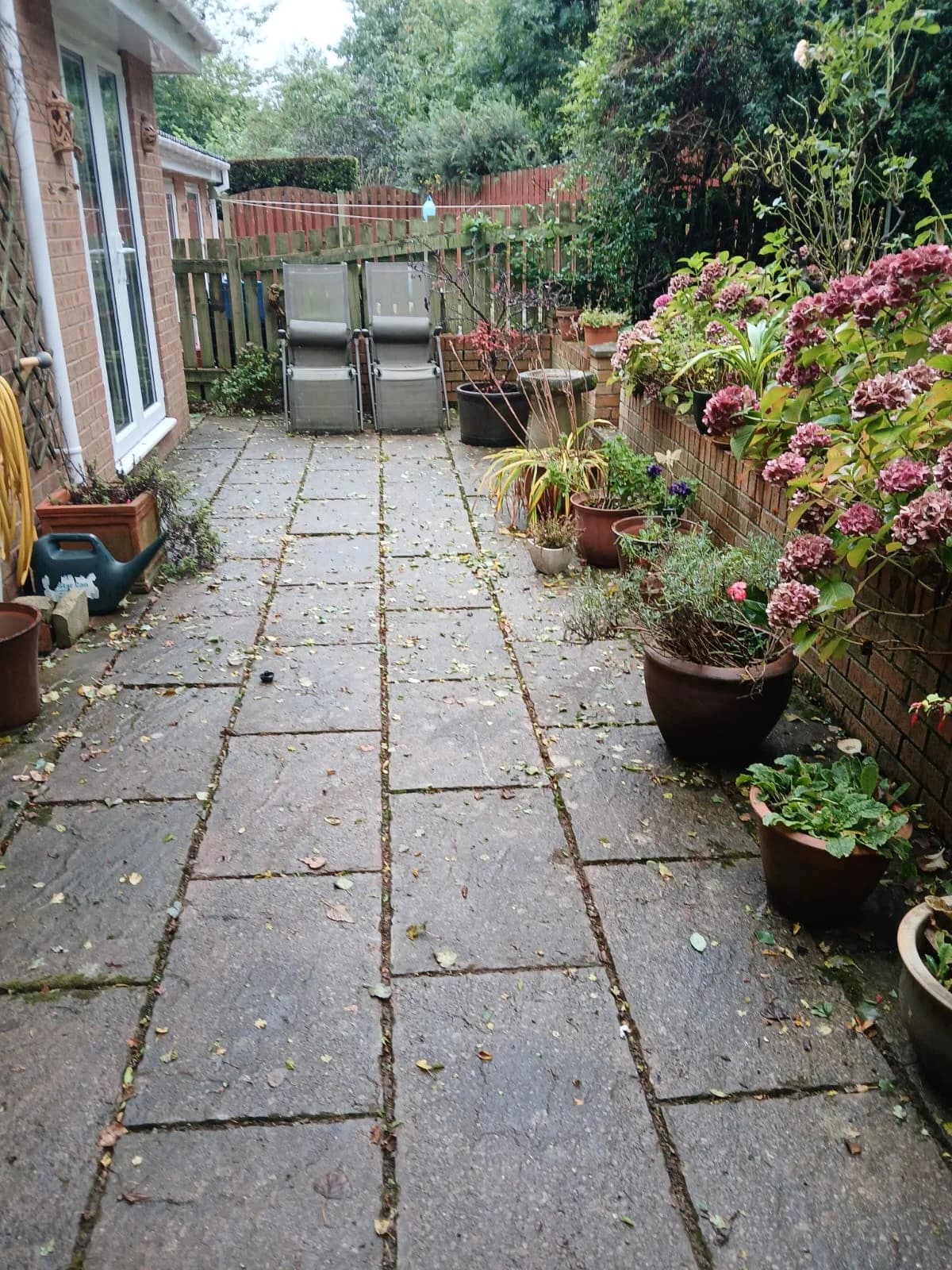 After Sofa Removal - completed clearance showing clean space