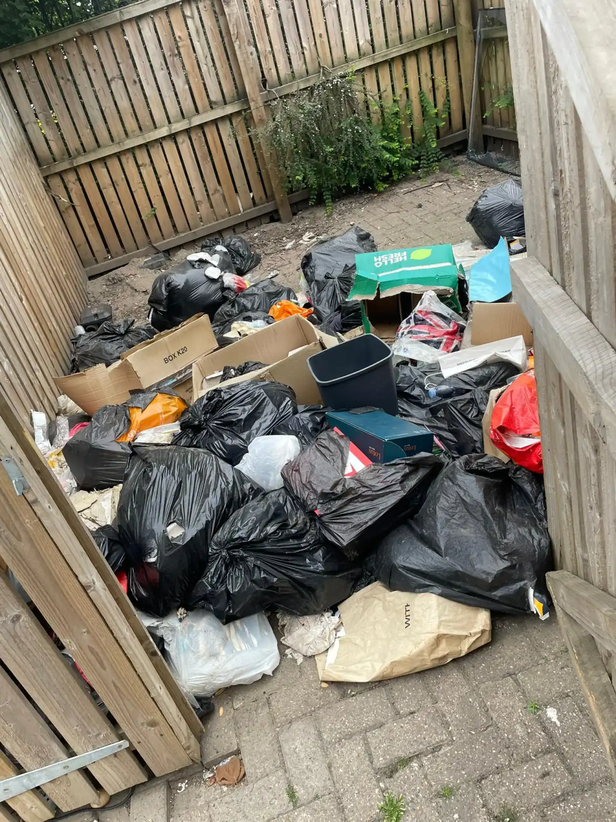 Commercial Waste Removal in Birkenhead - uniformed team with van