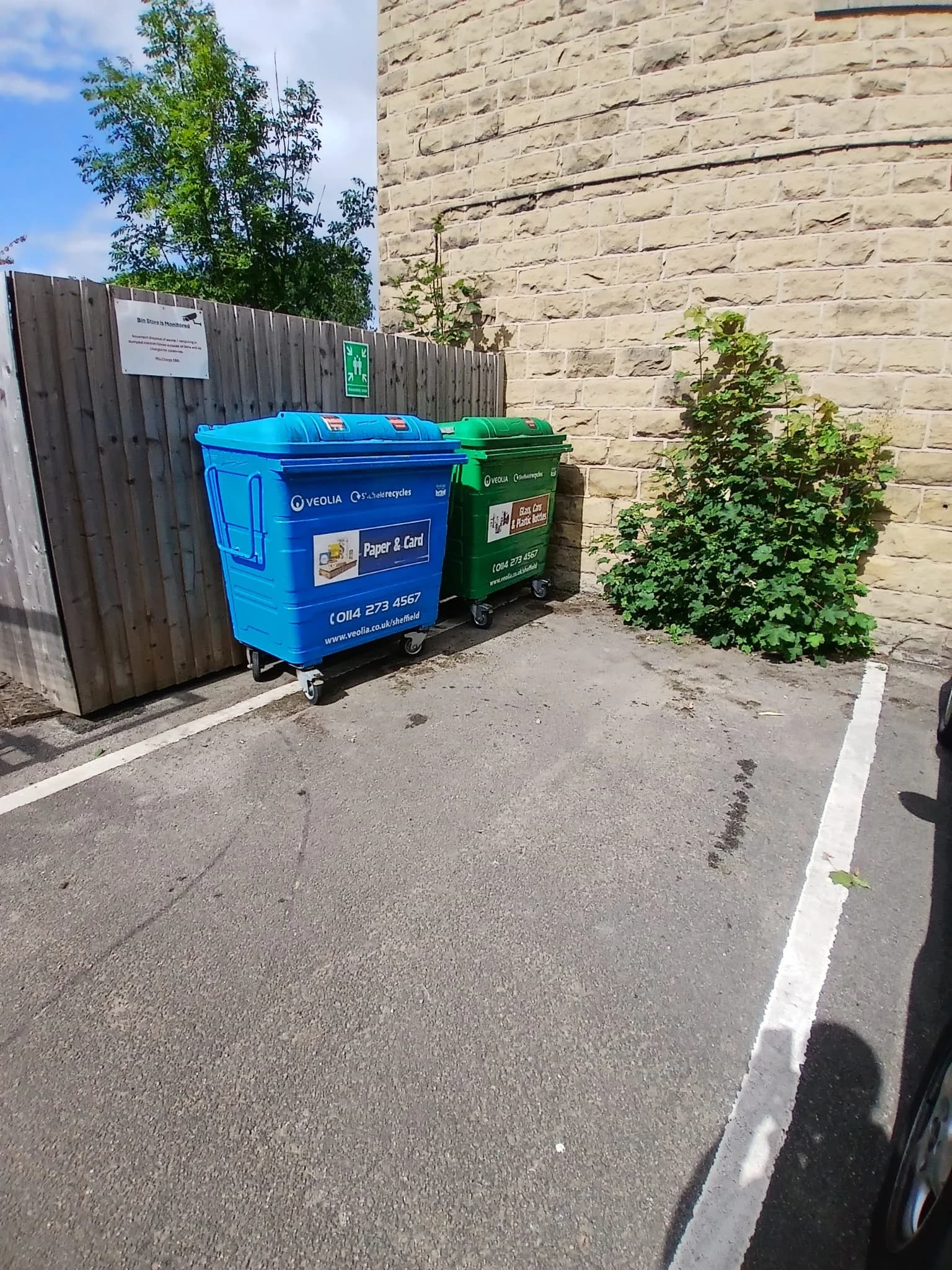 After Emergency Bin Collection in Fylde - completed clearance