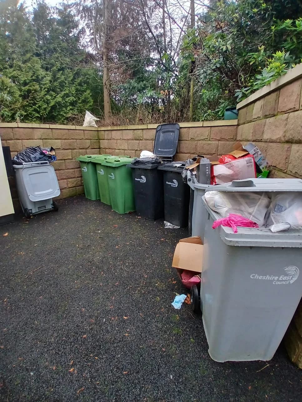 Before Emergency Bin Collection - property clearance in progress