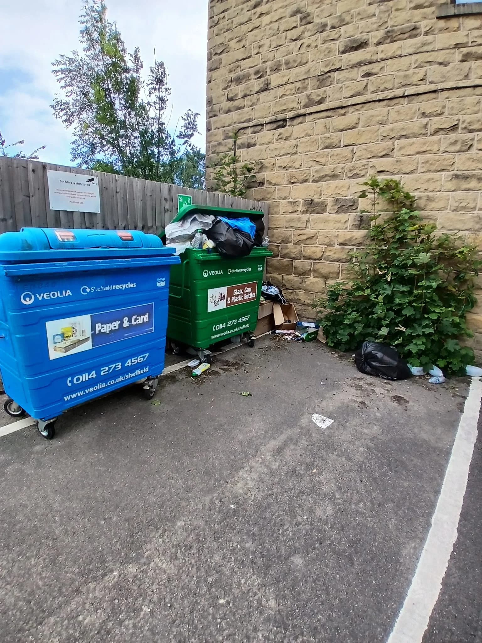 Before Emergency Bin Collection in Rotherham - property before clearance