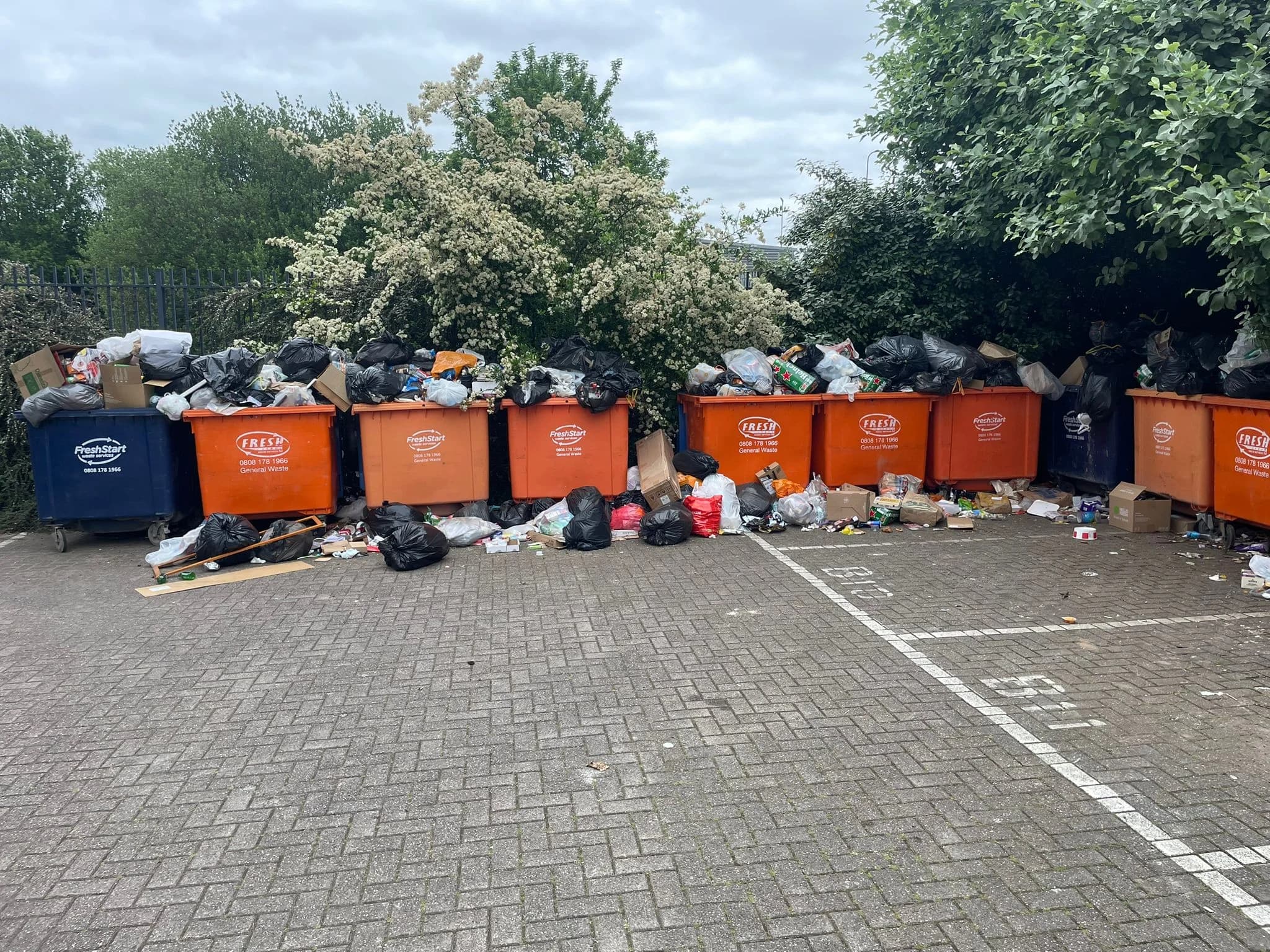 Before Emergency Bin Collection in Oldham - property before clearance
