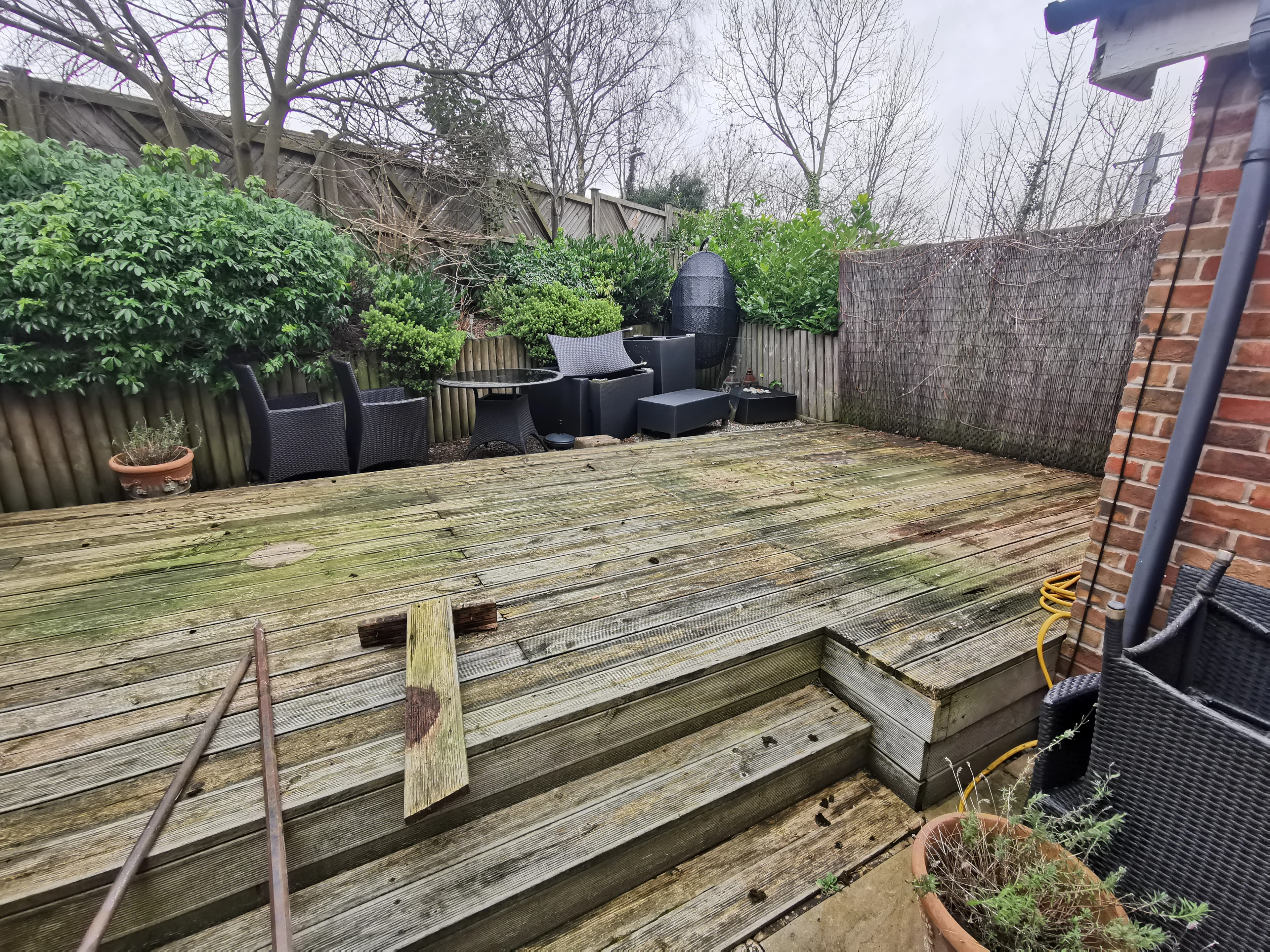 Before Garden Waste Removal - property clearance in progress