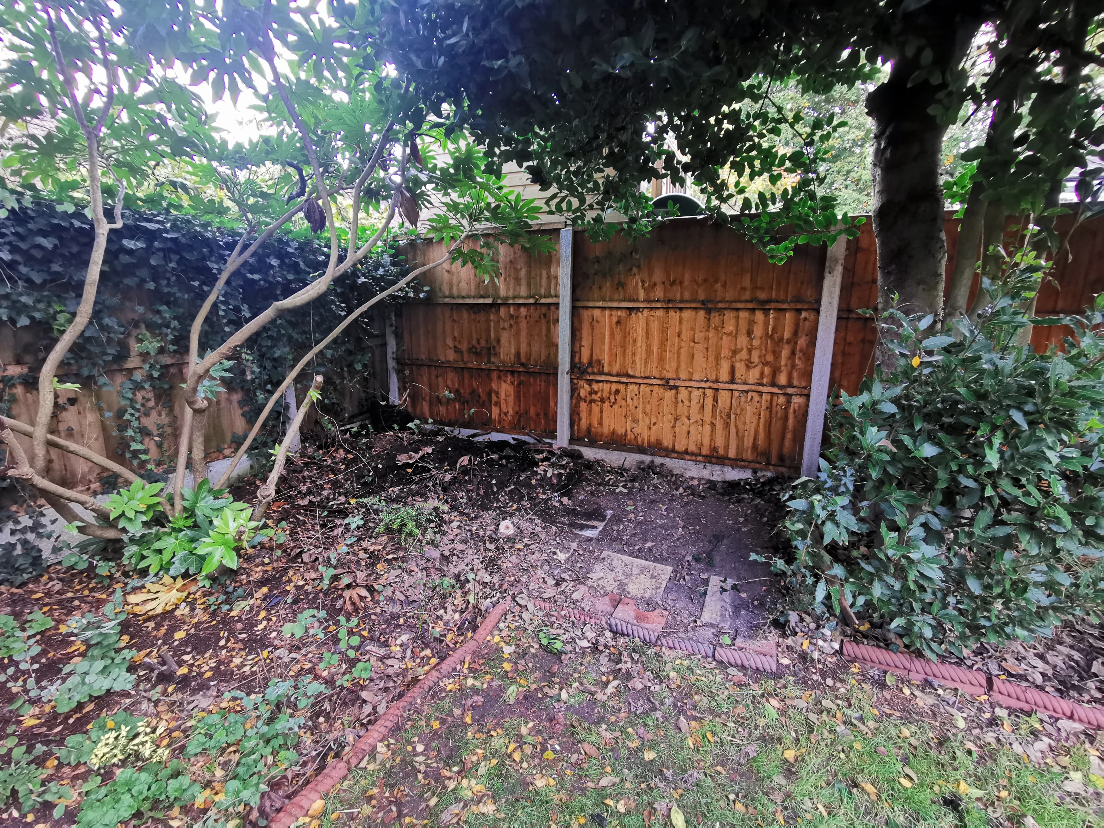 After Shed Removal - completed clearance showing clean space