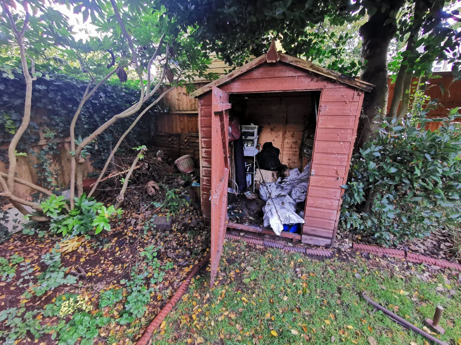 Before Shed Removal in Rochdale - property before clearance